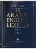 An Arabic English Lexicon (2 Volumes)